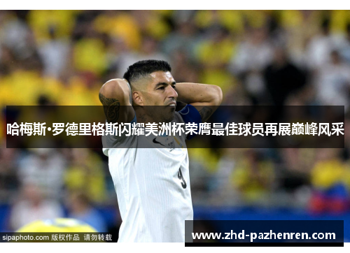 哈梅斯·罗德里格斯闪耀美洲杯荣膺最佳球员再展巅峰风采 哈梅斯·罗德里格斯闪耀美洲杯荣膺最佳球员再展巅峰风采